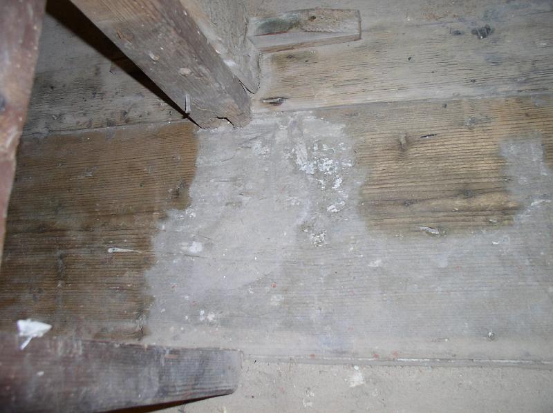 18  Saggio di pulitura del pavimento della cella.JPG